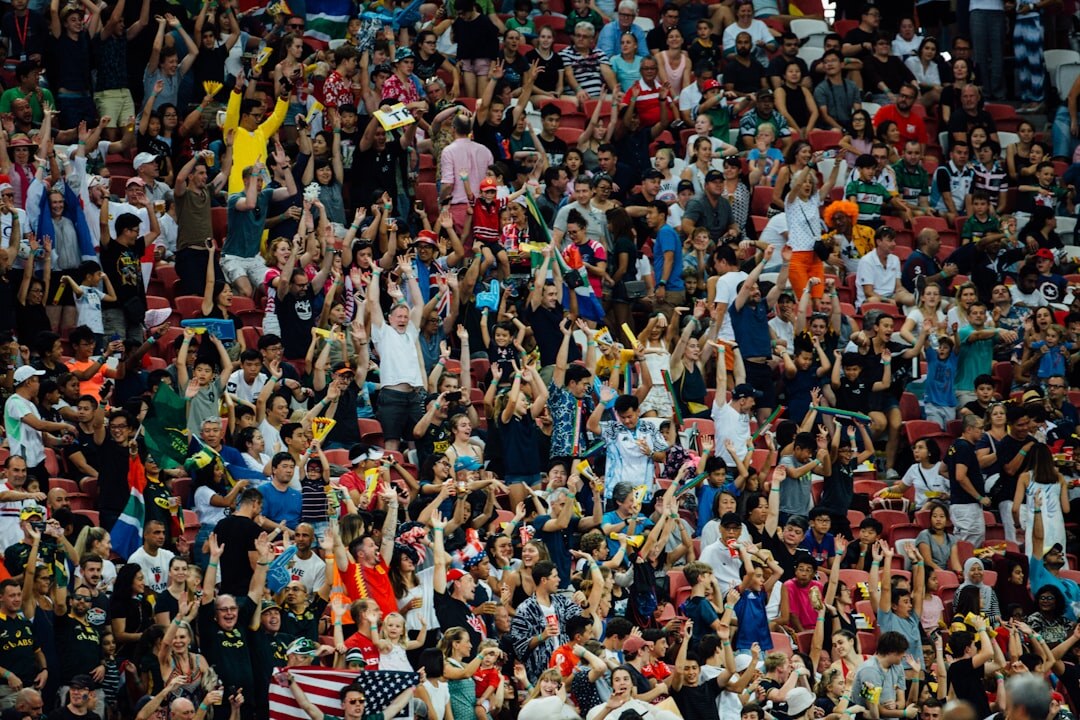 stadium concert crowd